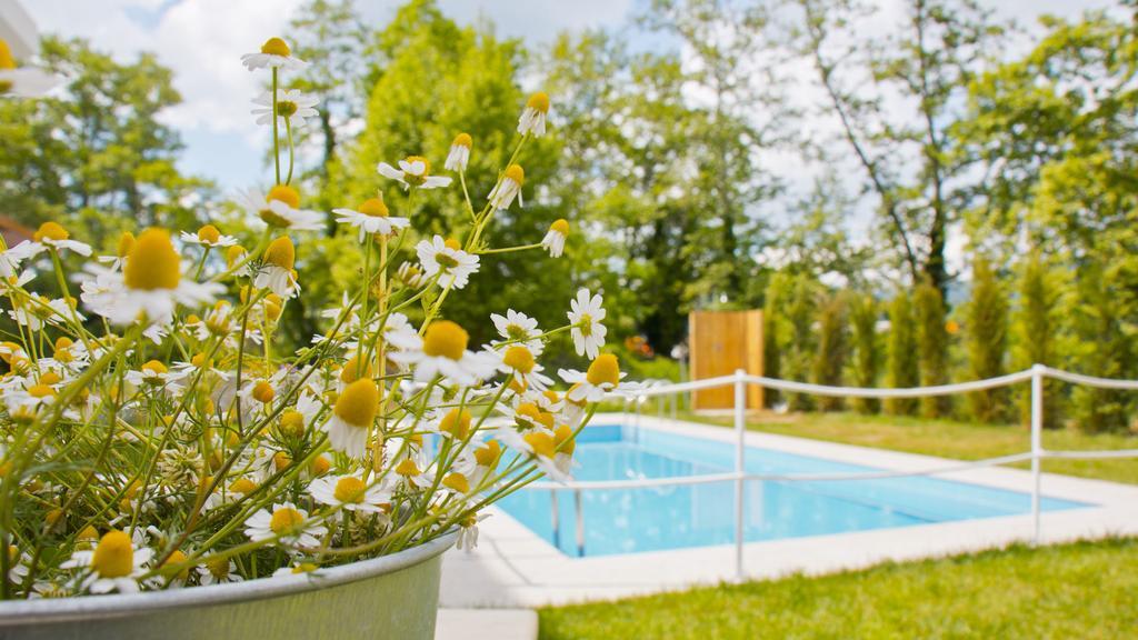 Aristotelia Gi Ikies - Olympiada Poolside Retreats Exterior photo
